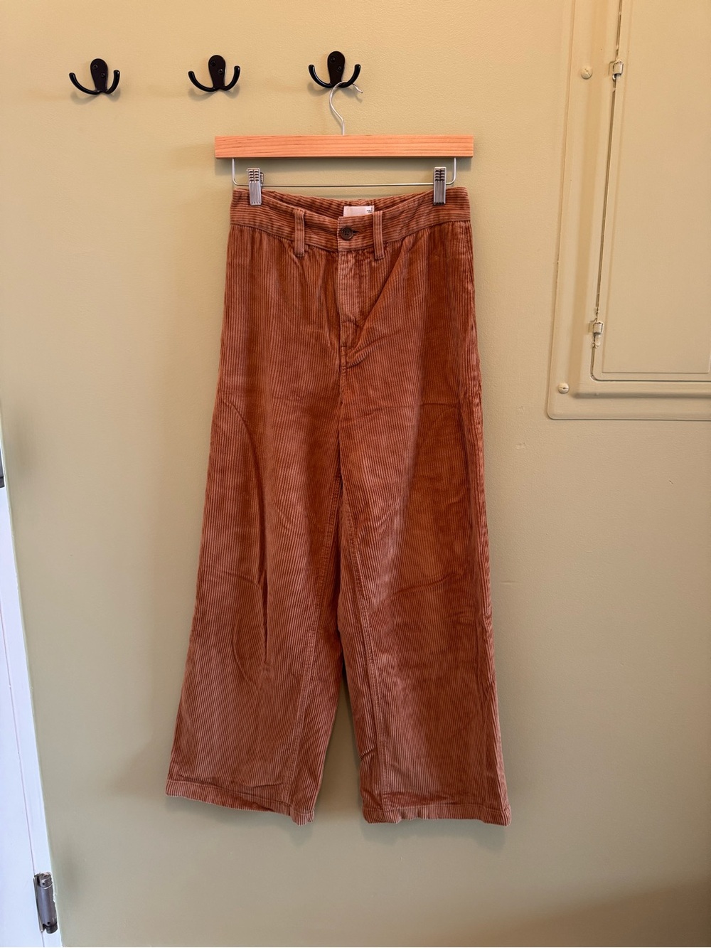 Aritzia Wide-Leg Corduroy Pants in Rust Brown